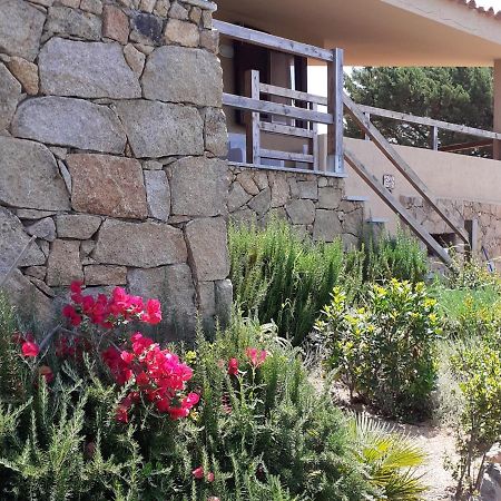 villa aloe 2 Costa Paradiso Esterno foto