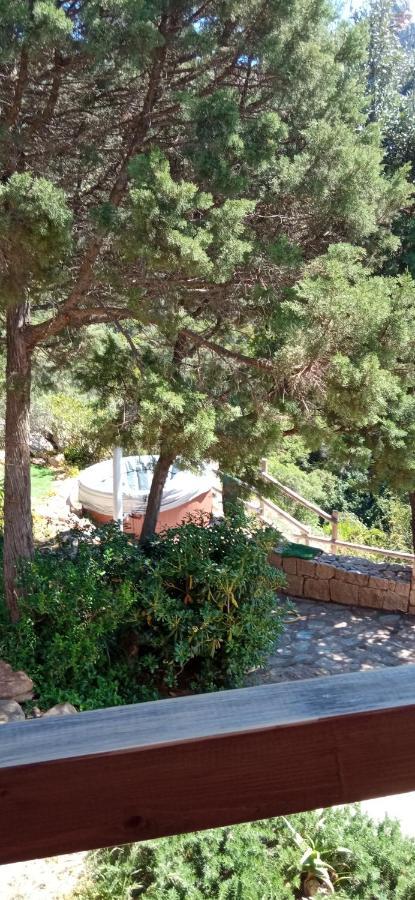 villa aloe 2 Costa Paradiso Esterno foto