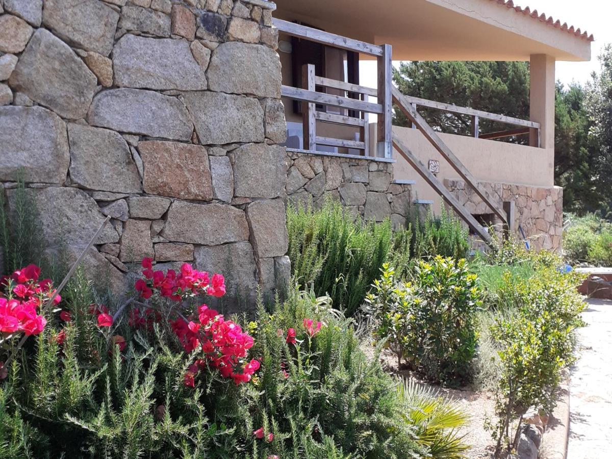 villa aloe 2 Costa Paradiso Esterno foto