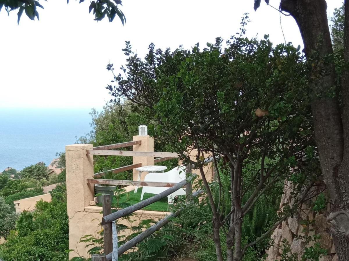 villa aloe 2 Costa Paradiso Esterno foto